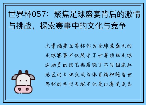 世界杯057：聚焦足球盛宴背后的激情与挑战，探索赛事中的文化与竞争